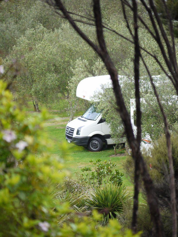 Bay Of Islands Holiday Apartments Paihia Buitenkant foto