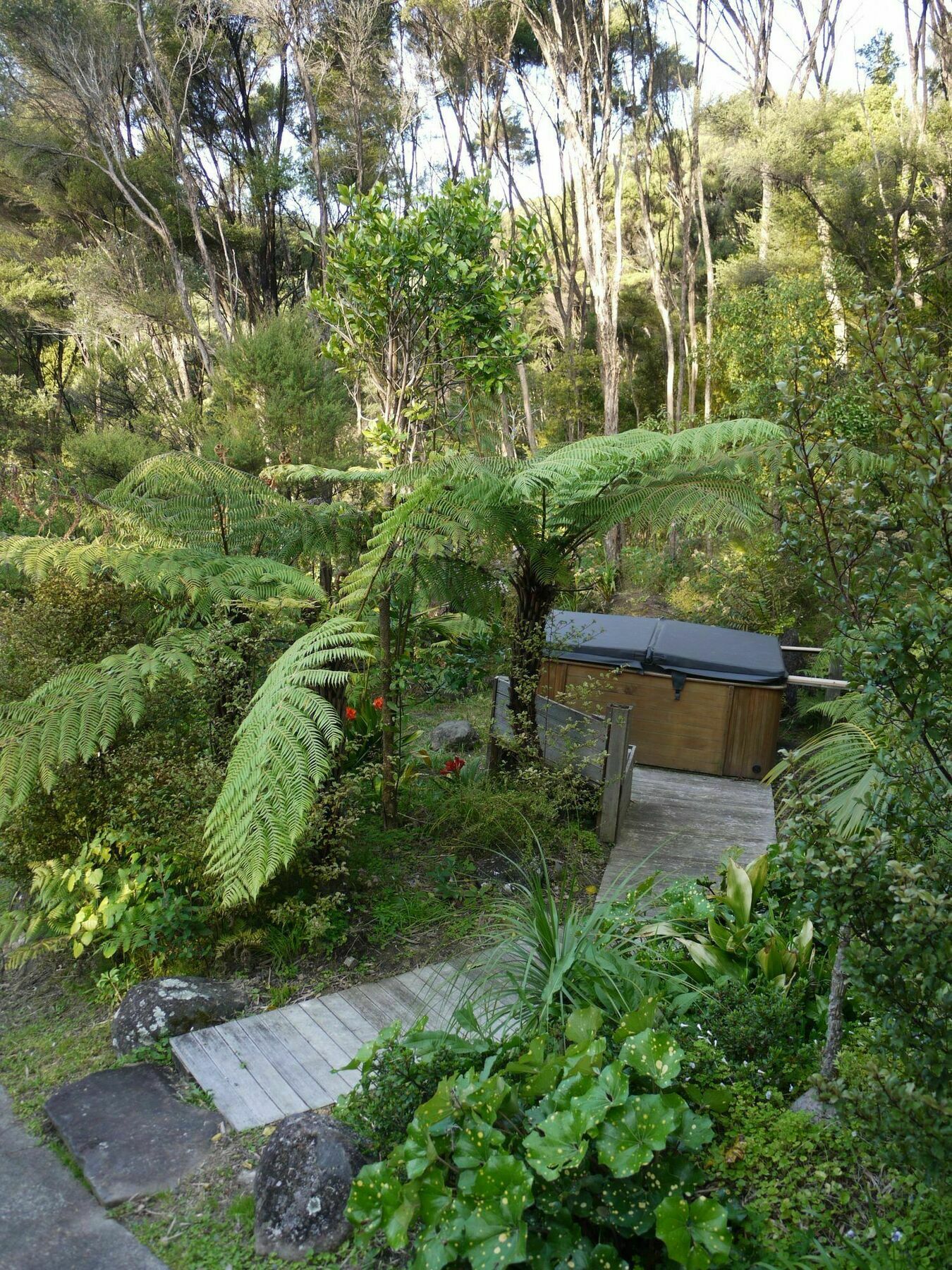 Bay Of Islands Holiday Apartments Paihia Buitenkant foto