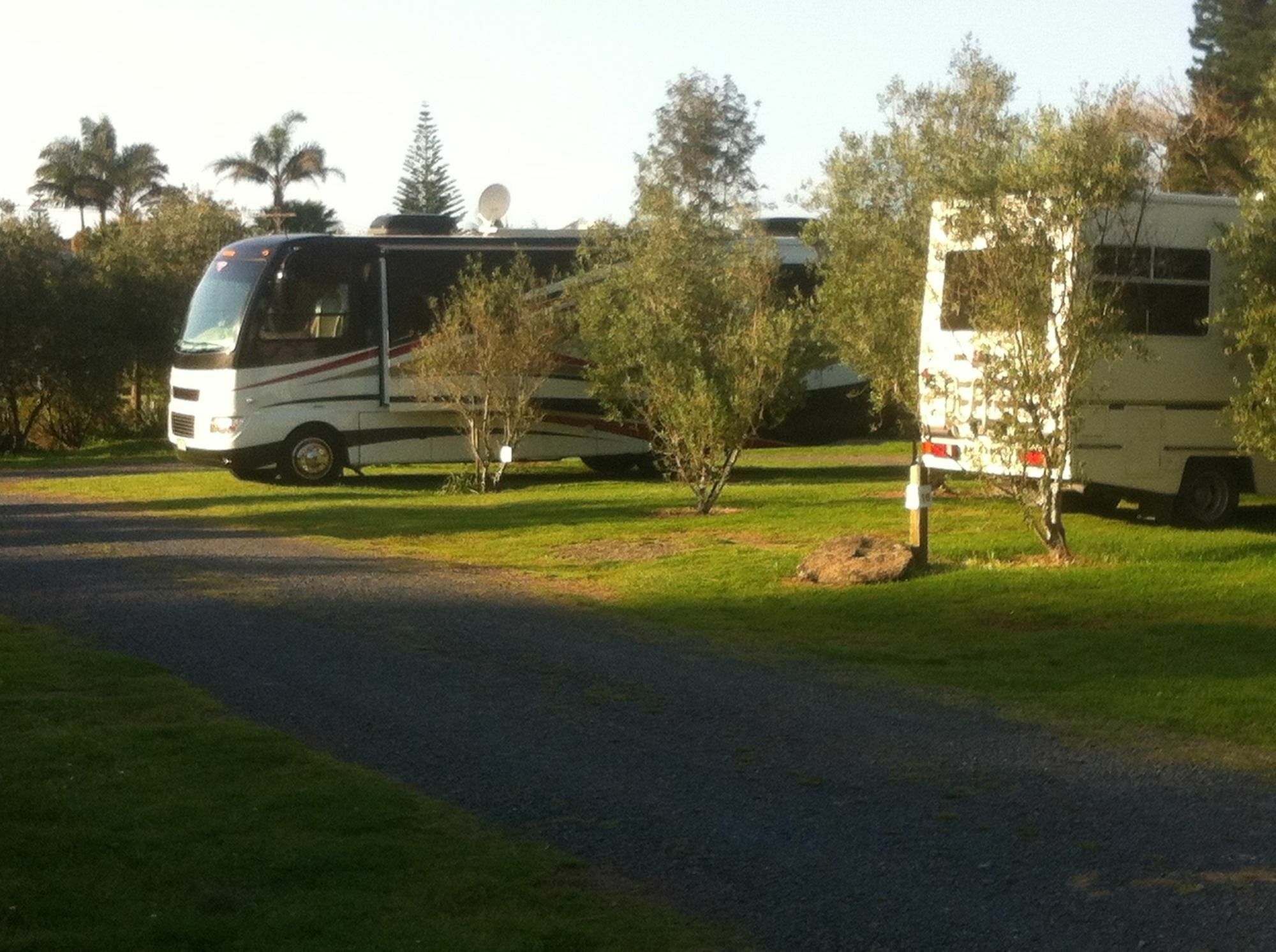 Bay Of Islands Holiday Apartments Paihia Buitenkant foto